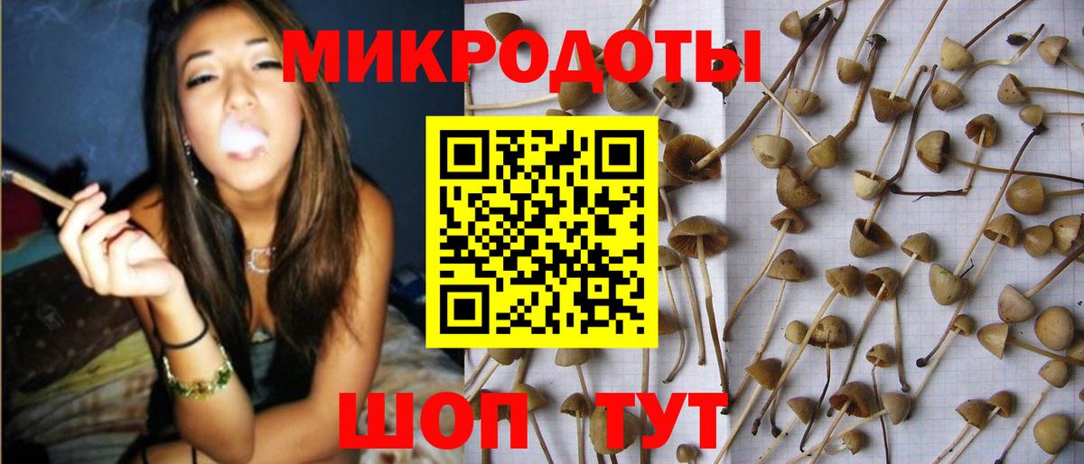 Партизанск  Галлюциногенные грибы Psilocybe  Вход с VPN 