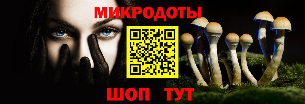 Галлюциногенные грибы Magic Shrooms Партизанск